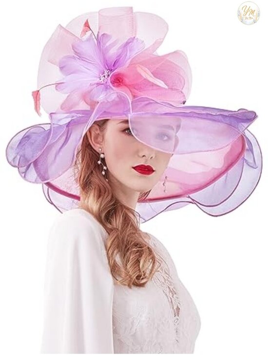 Organza Church Derby Hat Wide Brim Fascinator Wedding Tea Party main image 5